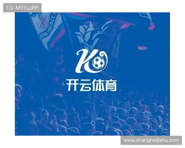 开云体育安卓版安全保障措施，确保您的个人信息和资金安全无忧